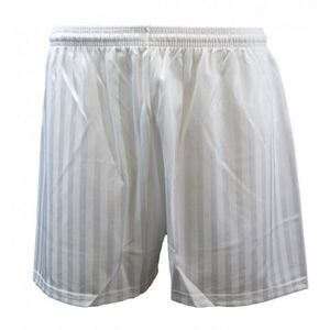 Carta Sport Unisex Adult Seriea Shorts / White